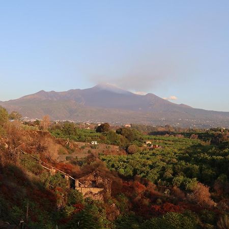 Il Pampaleone Glamping And Resort Acireale Dış mekan fotoğraf